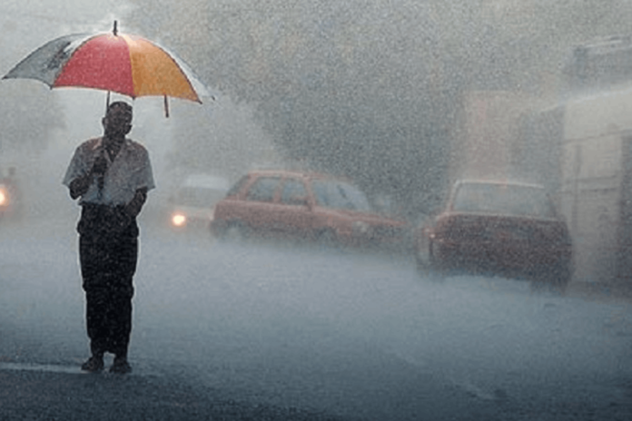 Rain