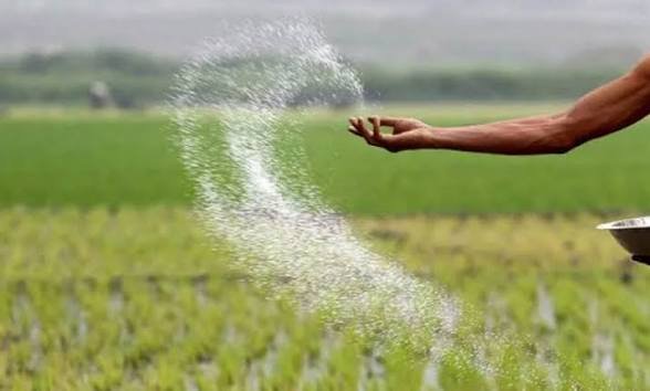 யூரியா உரம் விநியோக நடவடிக்கைகளில் தனியார் நிறுவனங்கள்
