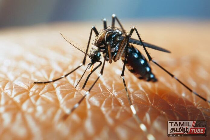 dengue_fever_4dbd108c2f