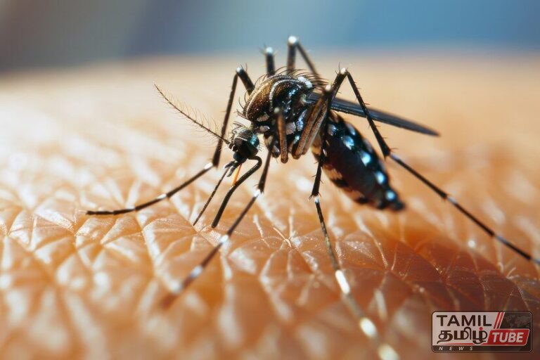 டெங்கு விழிப்புணர்வு: நம் கைகளில் நம் பாதுகாப்பு!