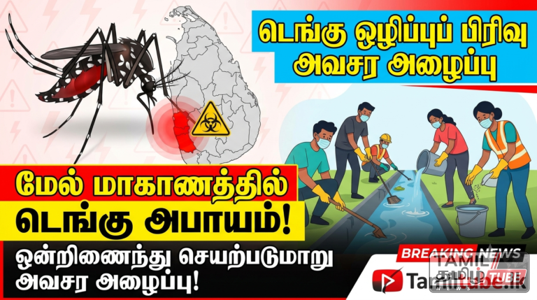மேல் மாகாணத்தில் டெங்கு அபாயம்: ஒன்றிணைந்து செயற்படுமாறு டெங்கு ஒழிப்புப் பிரிவு அவசர அழைப்பு!