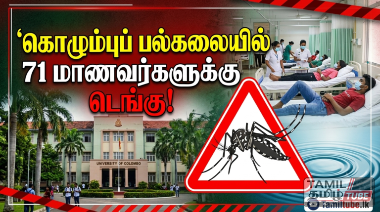 கொழும்புப் பல்கலையில் 71 மாணவர்களுக்கு டெங்கு!