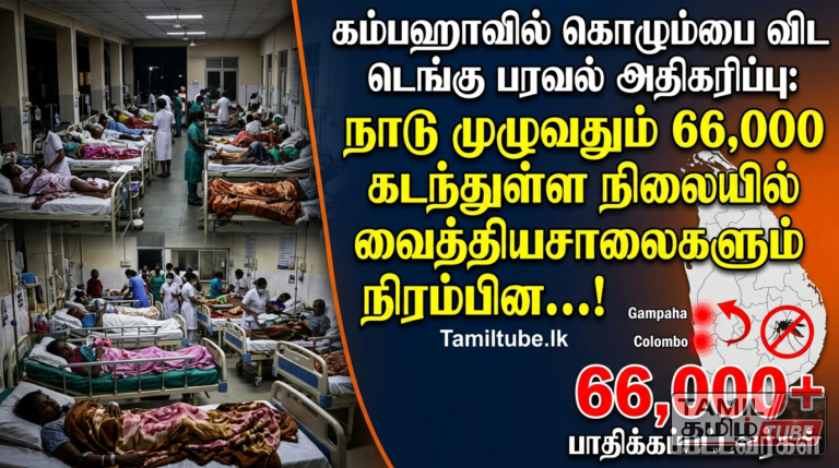 கம்பஹாவில் கொழும்பை விட டெங்கு பரவல் அதிகரிப்பு: நாடு முழுவதும் 66,000 கடந்துள்ள நிலையில் வைத்தியசாலைகளும் நிரம்பின…!