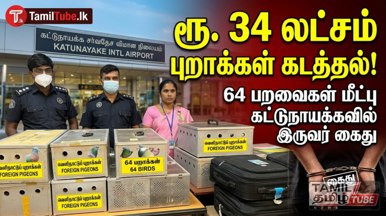 ​ரூ. 34 லட்சம் பெறுமதியான 64 வெளிநாட்டுப் புறாக்கள் கடத்தல்: கட்டுநாயக்க விமான நிலையத்தில் இருவர் கைது!