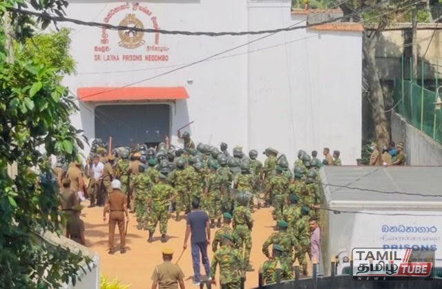 en.newswave.lk-negambo-prison-attack