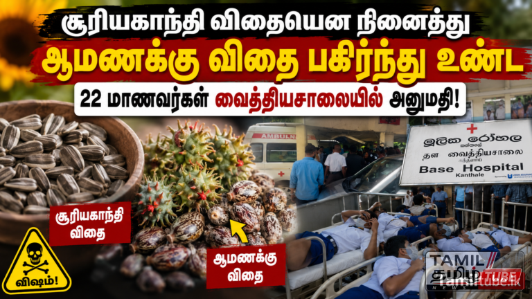 சூரியகாந்தி விதையென நினைத்து ஆமணக்கு விதை பகிர்ந்து உண்ட 22 மாணவர்கள் வைத்தியசாலையில் அனுமதி!