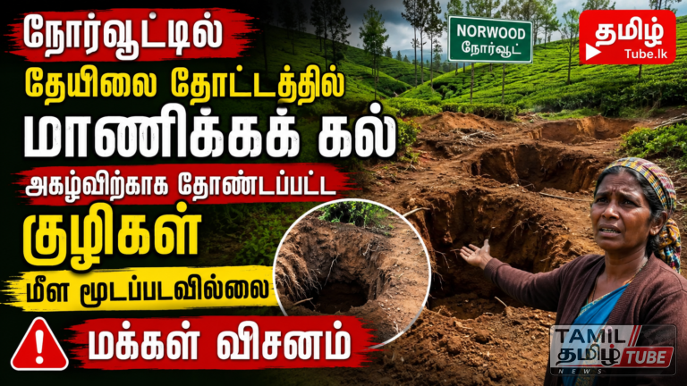 நோர்வூட்டில் தேயிலை தோட்டத்தில் மாணிக்கக் கல் அகழ்விற்காக தோண்டப்பட்ட குழிகள் மீள மூடப்படவில்லை – மக்கள் விசனம்