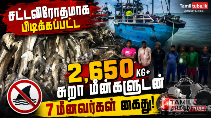 file_000000006fb08208b495dda57477cc98
