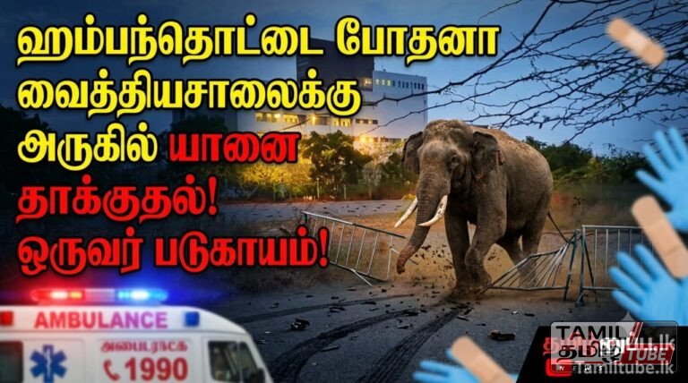 ஹம்பந்தொட்டை போதனா வைத்தியசாலைக்கு அருகில் யானை தாக்குதல்: ஒருவர் படுகாயம்