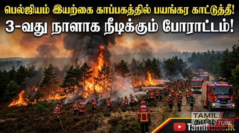பெல்ஜியம் இயற்கை காப்பகத்தில் பரவும் பயங்கர காட்டுத்தீ: மூன்றாவது நாளாக நீடிக்கும் போராட்டம்