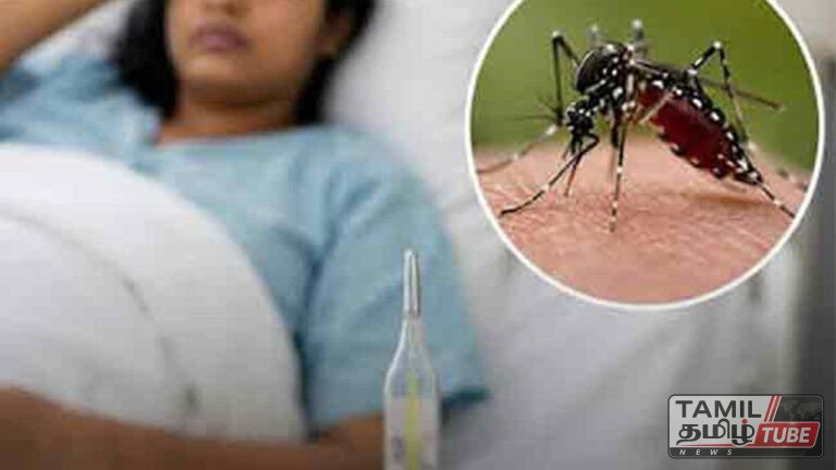 இலங்கையில் டெங்கு பரவல் தீவிரமடைப்பு: பாதிப்பு 92,000 கடந்தது; 68 பேர் உயிரிழப்பு!